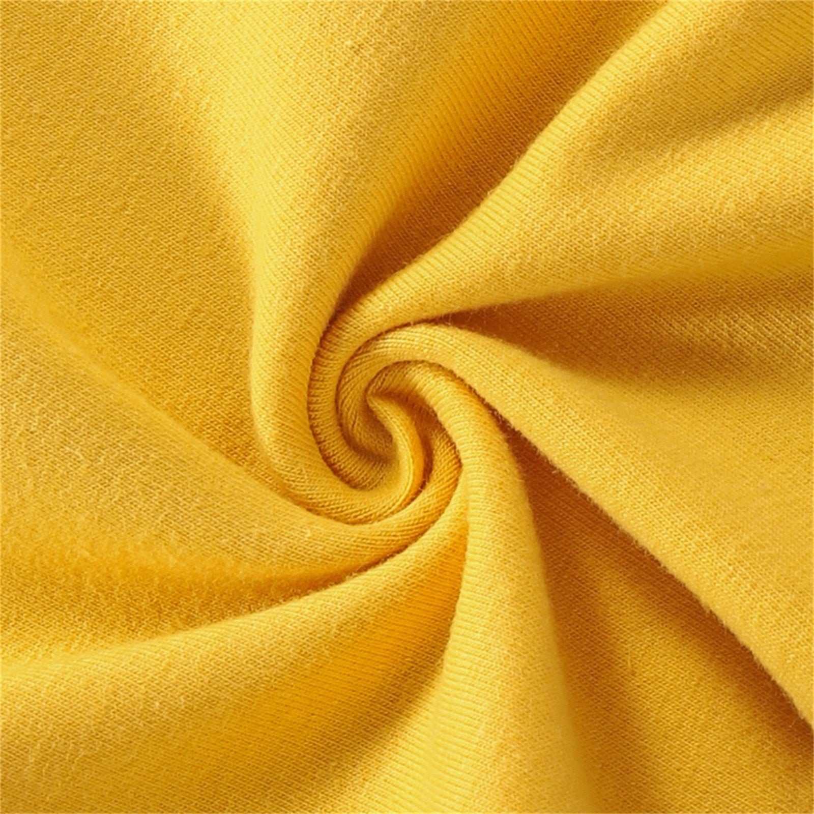 2PCS Unisex Dinosaur Letter Hooded Sweatshirt +Pants Outfit