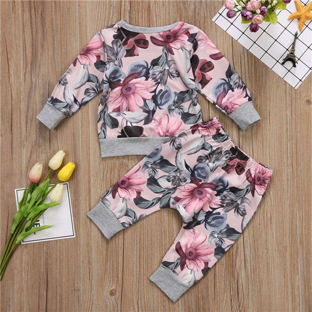 Toddler Girl 2 Piece Floral Sweatshirt & Pants